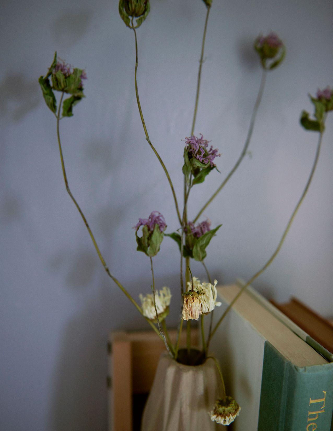 Dried Flowers from the Garden